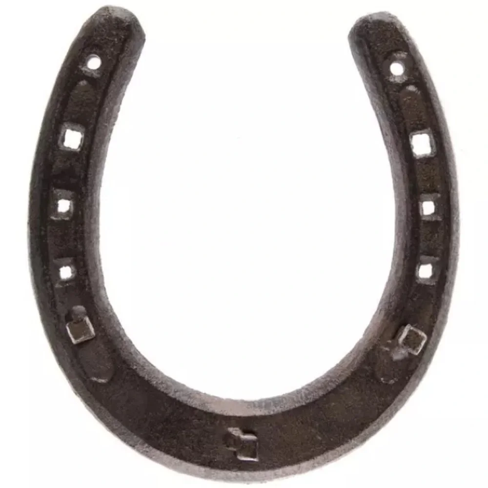 (2) Horseshoe Metal Wall Decor With Hooks